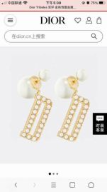 Picture of Dior Earring _SKUDiorearring0922297989